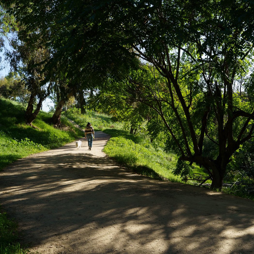 Chavez Ravine Arboretum 1